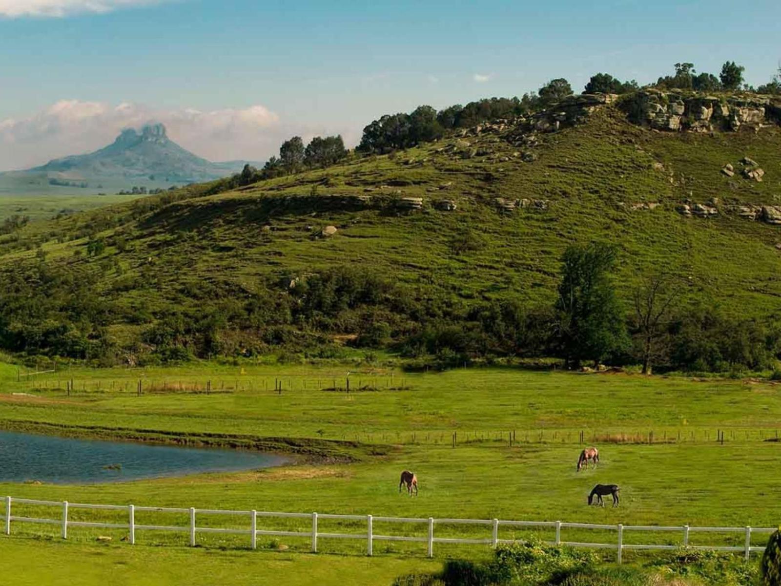 Oaklands Farm Stay Van Reenen Bagian luar foto